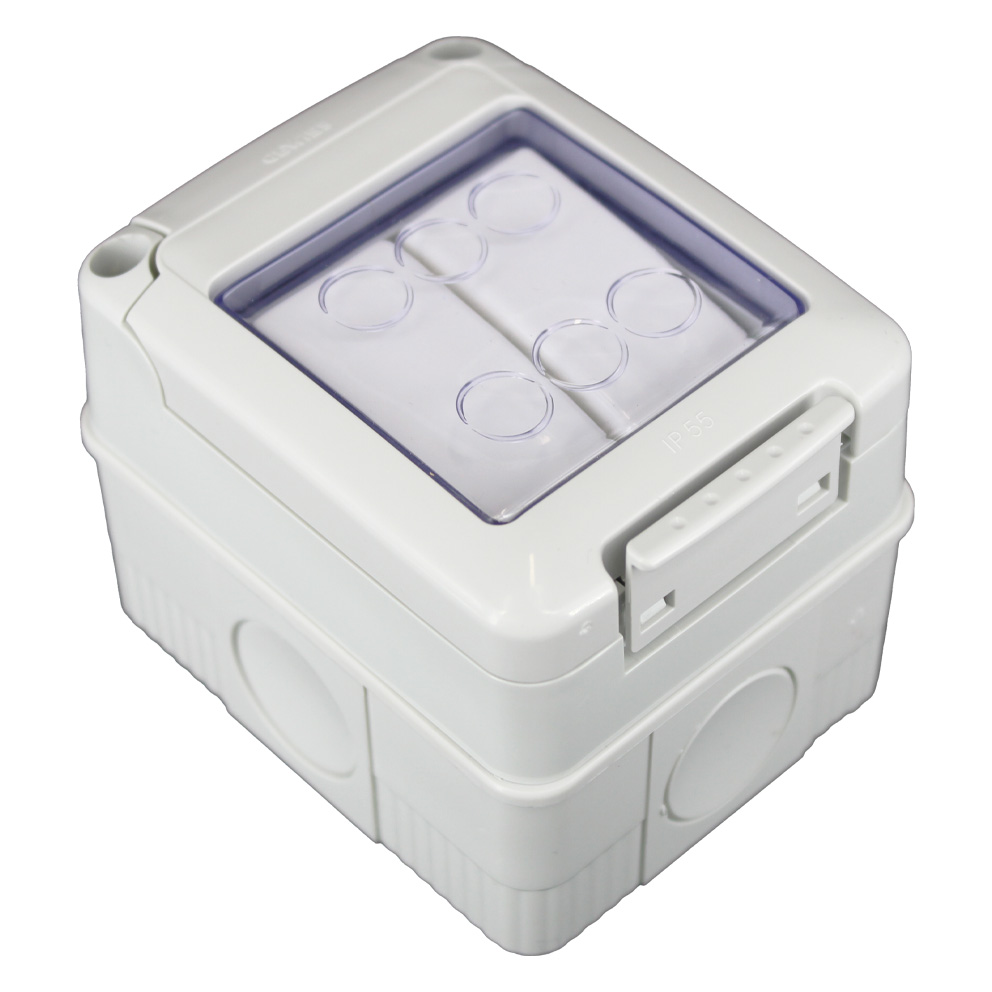 2G 2W Switch