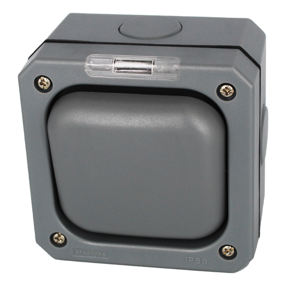 1G 2W Switch